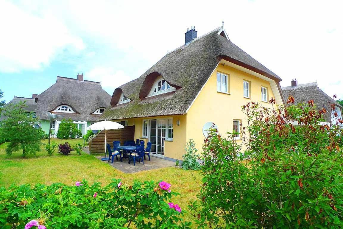 Ferienhaus An Der Alten Waldschaenke Ws-11A Born Eksteriør billede