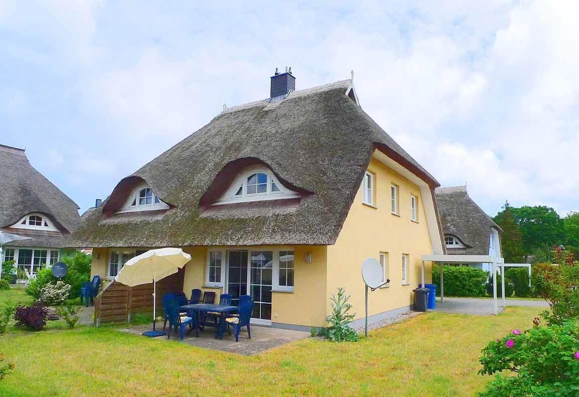 Ferienhaus An Der Alten Waldschaenke Ws-11A Born Eksteriør billede