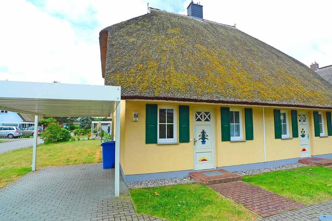 Ferienhaus An Der Alten Waldschaenke Ws-11A Born Eksteriør billede